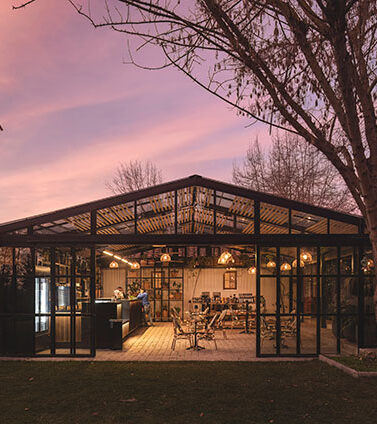 Ampliación de una experiencia vitivinícola